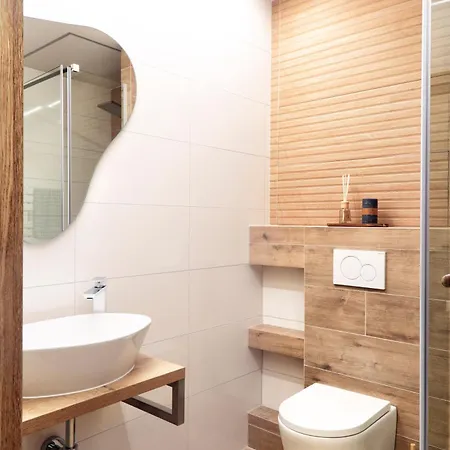V Centru Apartment Lanskroun