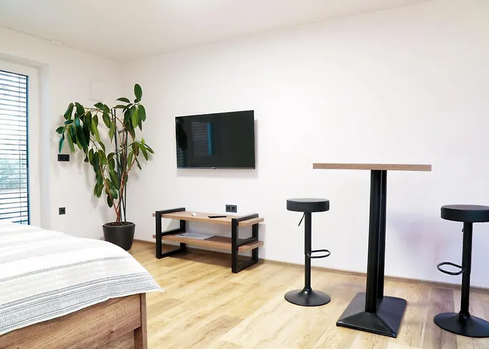 V Centru Apartment